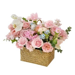 康乃馨篮子(1) 康乃馨花篮