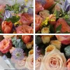 Close-up view of fresh peach rose petals and vibrant orange tulips, highlighting the premium quality of our floral arrangements for delivery in China.
