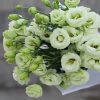 o1cn01451kqq1qqzaitty4w 0 item pic o1cn01451kqq1qqzaitty4w 0 item pic