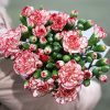 o1cn016odtmm1qqzctbui3c 0 item pic