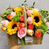 o1cn017x9lii27u680xnsoe 0 item pic 1 o1cn017x9lii27u680xnsoe 0 item pic 1