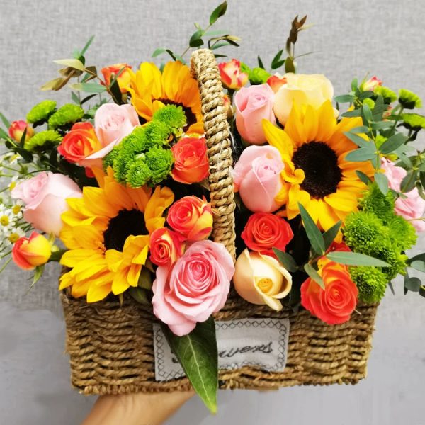 o1cn017x9lii27u680xnsoe 0 item pic 1 o1cn017x9lii27u680xnsoe 0 item pic 1