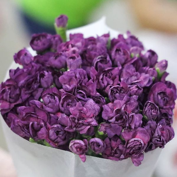 o1cn0181ksze1qqzcxsejir 2207921605547