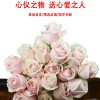 o1cn019nch5c1qqzzetwgp1 2207921605547 o1cn019nch5c1qqzzetwgp1 2207921605547