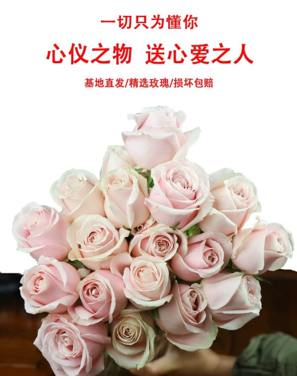 o1cn019nch5c1qqzzetwgp1 2207921605547 o1cn019nch5c1qqzzetwgp1 2207921605547