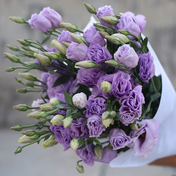 o1cn01bcobsj1qqzaitifa5 2207921605547 o1cn01bcobsj1qqzaitifa5 2207921605547