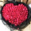 o1cn01ivogqi27u64tyya4y 0 item pic 1 o1cn01ivogqi27u64tyya4y 0 item pic 1