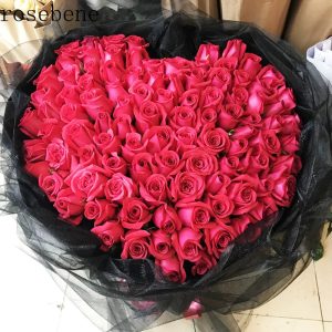 o1cn01ivogqi27u64tyya4y 0 item pic 1 o1cn01ivogqi27u64tyya4y 0 item pic 1