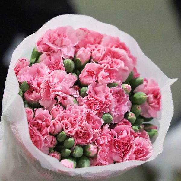 o1cn01kpkktu1qqzccehujs 2207921605547