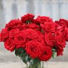 o1cn01t1umre1qqzc5fdtp5 2207921605547 o1cn01t1umre1qqzc5fdtp5 2207921605547