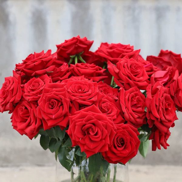 o1cn01t1umre1qqzc5fdtp5 2207921605547 o1cn01t1umre1qqzc5fdtp5 2207921605547