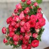 o1cn01ergjyo1qqzanmiq0p 2207921605547