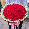 o1cn01gzhmli27u62aasrkx 0 item pic 1 o1cn01gzhmli27u62aasrkx 0 item pic 1