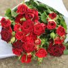 o1cn01pswlrh1qqzayi74bi 0 item pic