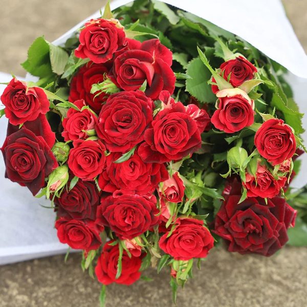 o1cn01pswlrh1qqzayi74bi 0 item pic