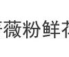 o1cn01sdjxar2n7aw1gdug4 2319699916 1 o1cn01sdjxar2n7aw1gdug4 2319699916 1